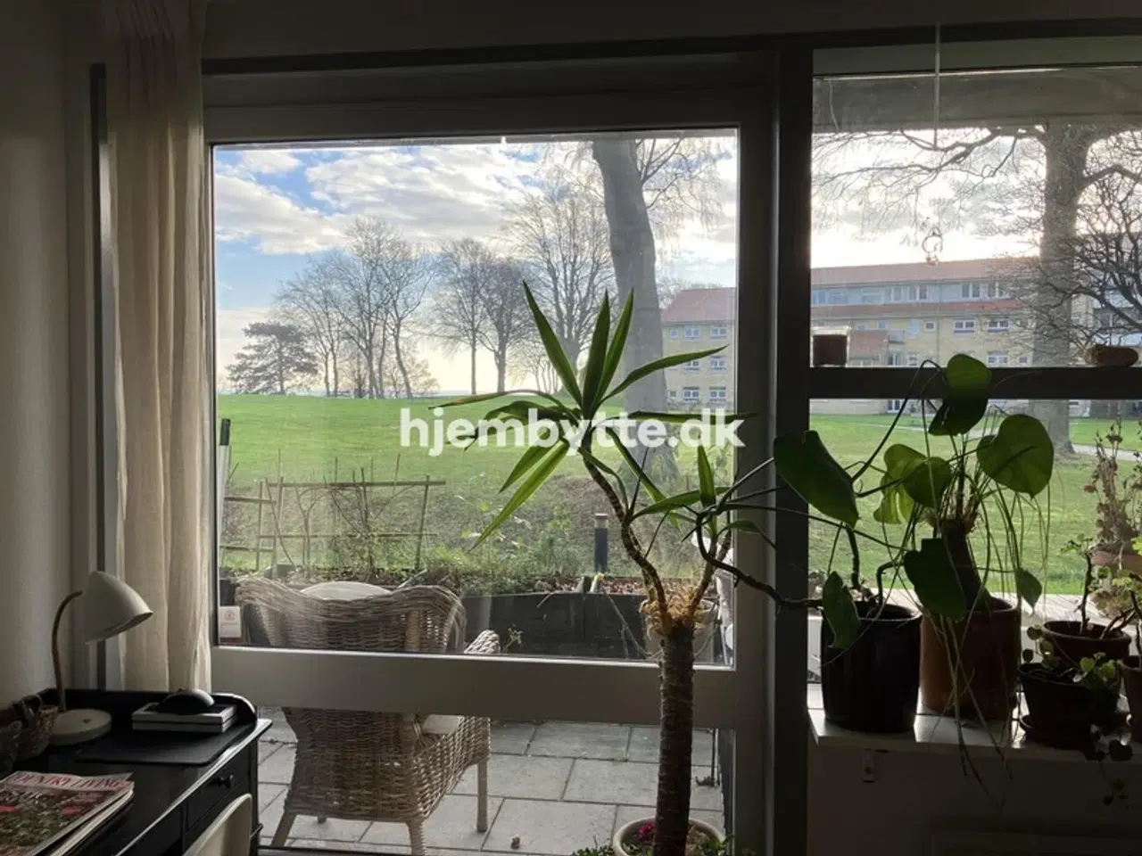 Billede 7 - Hjembytte - MikkelborgPark