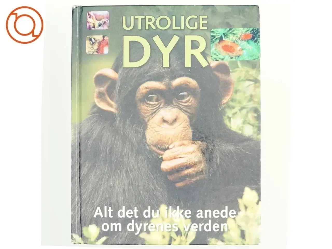 Billede 1 - Utrolige dyr af David Burnie (Bog)