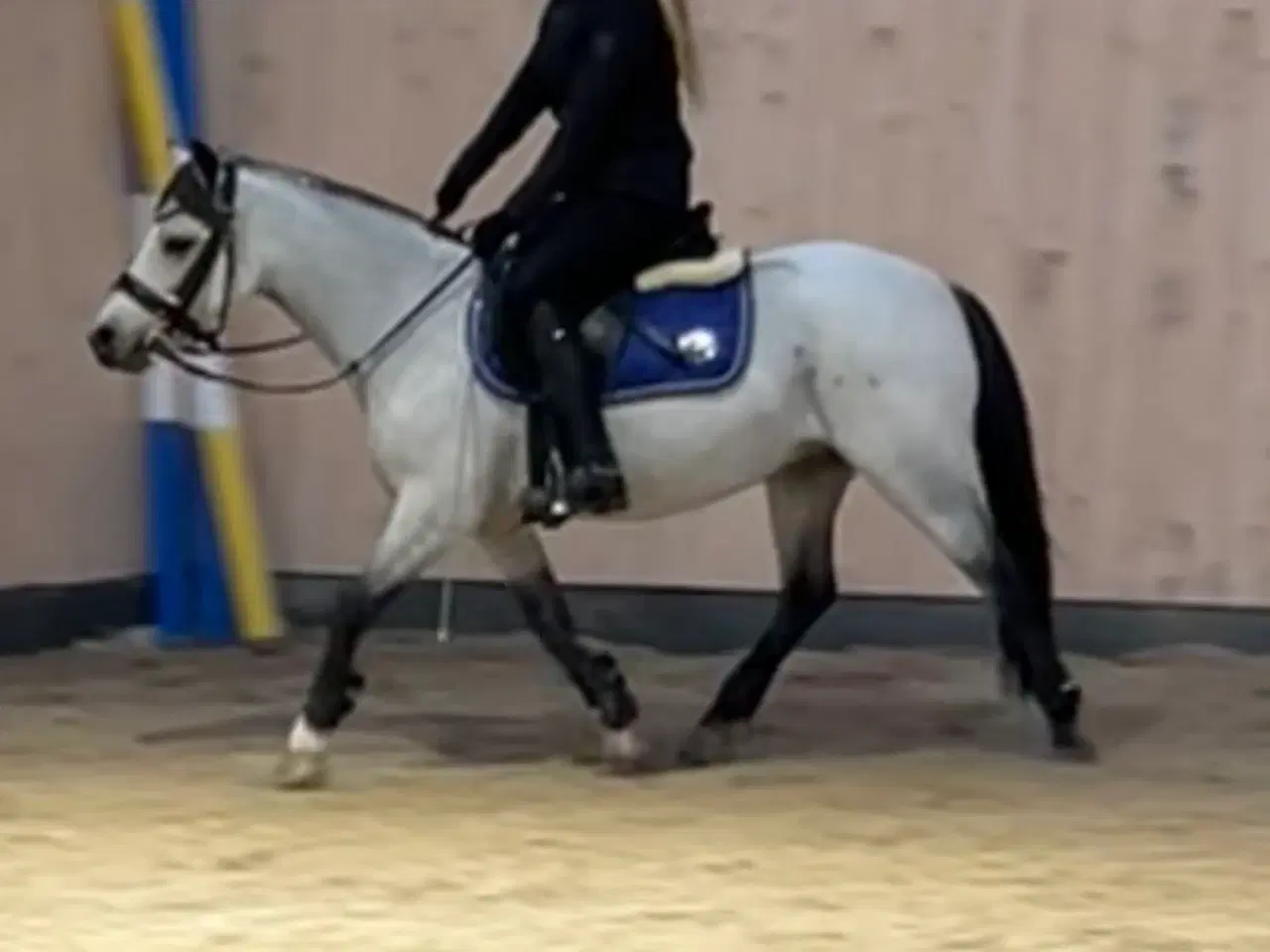 Billede 3 - Sødeste 3 pony