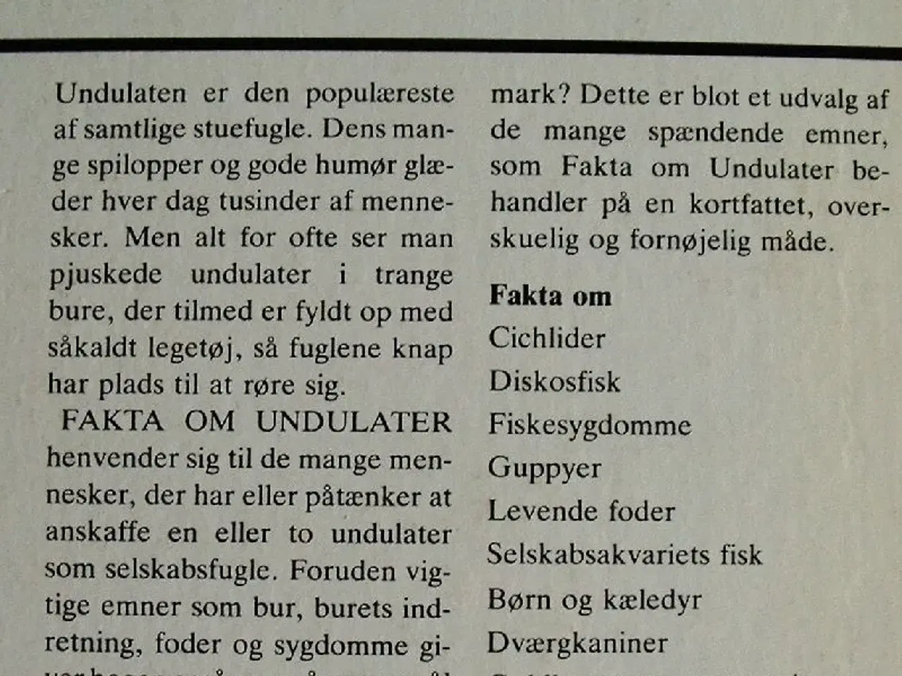 Billede 2 - Fakta om  undulater