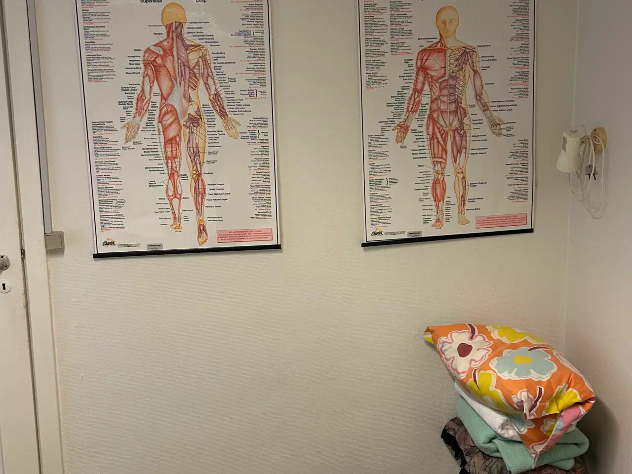 Billede 5 - Klinik udstyr el briks ,el behandler stol