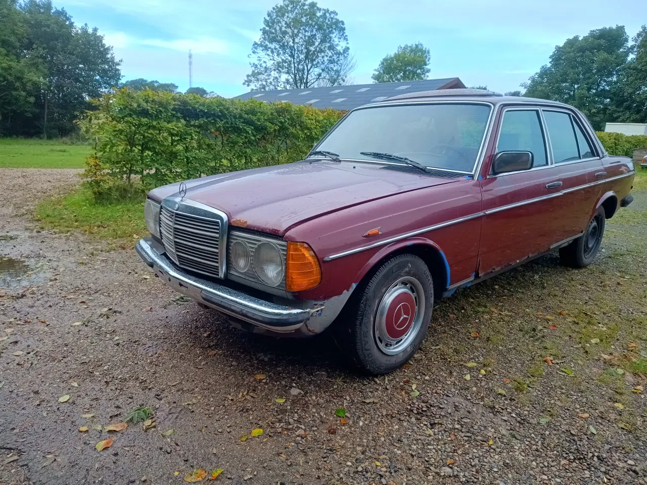 Billede 2 - Mercedes 123 240D