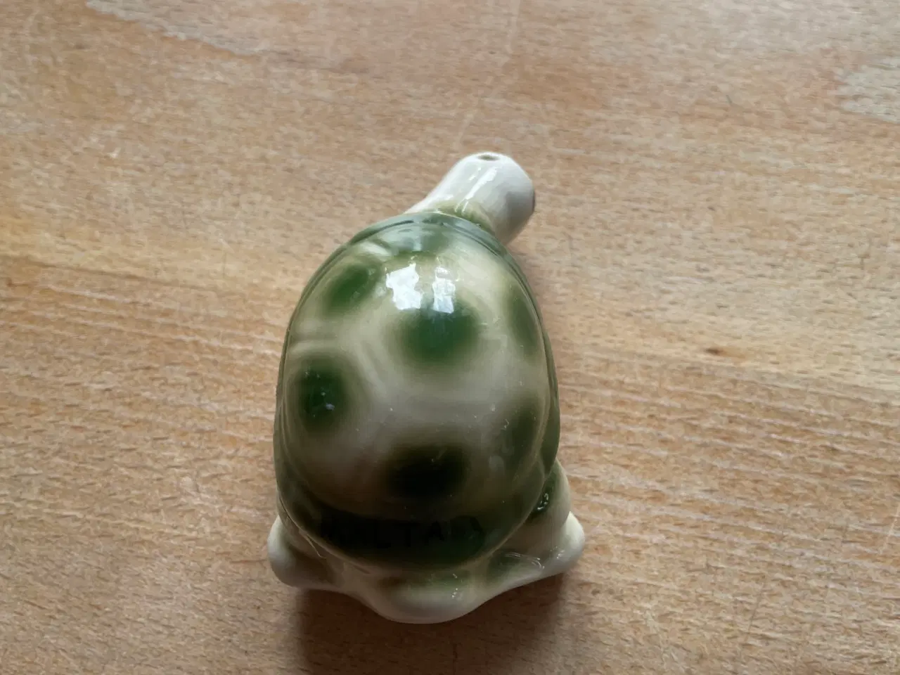 Billede 3 - Saltbøsse skildpadde