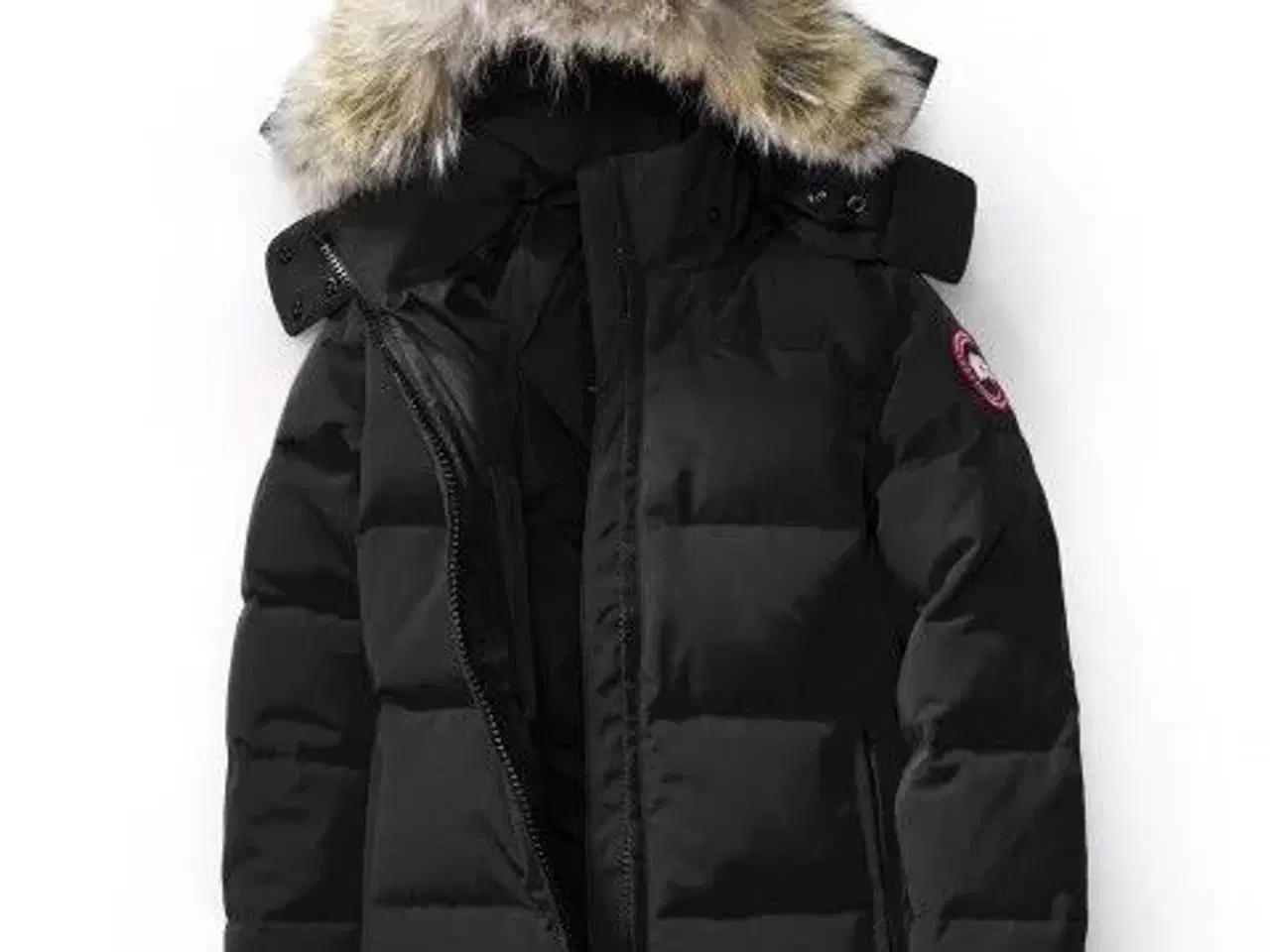 Billede 1 - Canada Goose  skal væk nu 