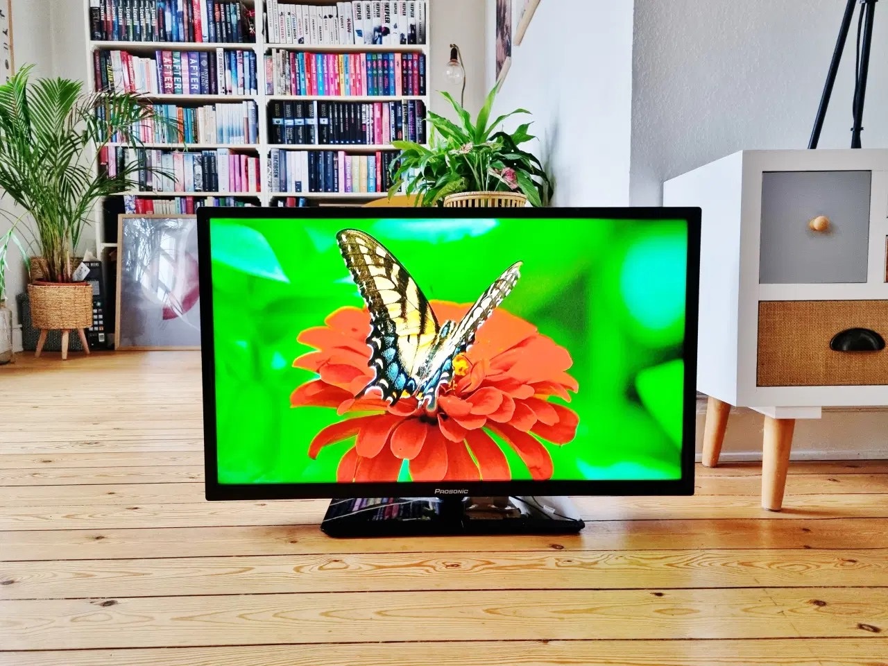 Billede 2 - Prosonic 32" Android Smart TV 2023