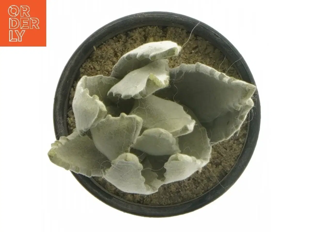 Billede 6 - Dekorative kunstige planter i sorte potter fra IKEA (str. 12 cm og 19 cm)