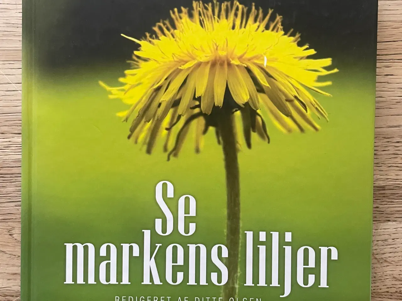 Billede 1 - Se markens liljer, redigeret af Ditte Olsen