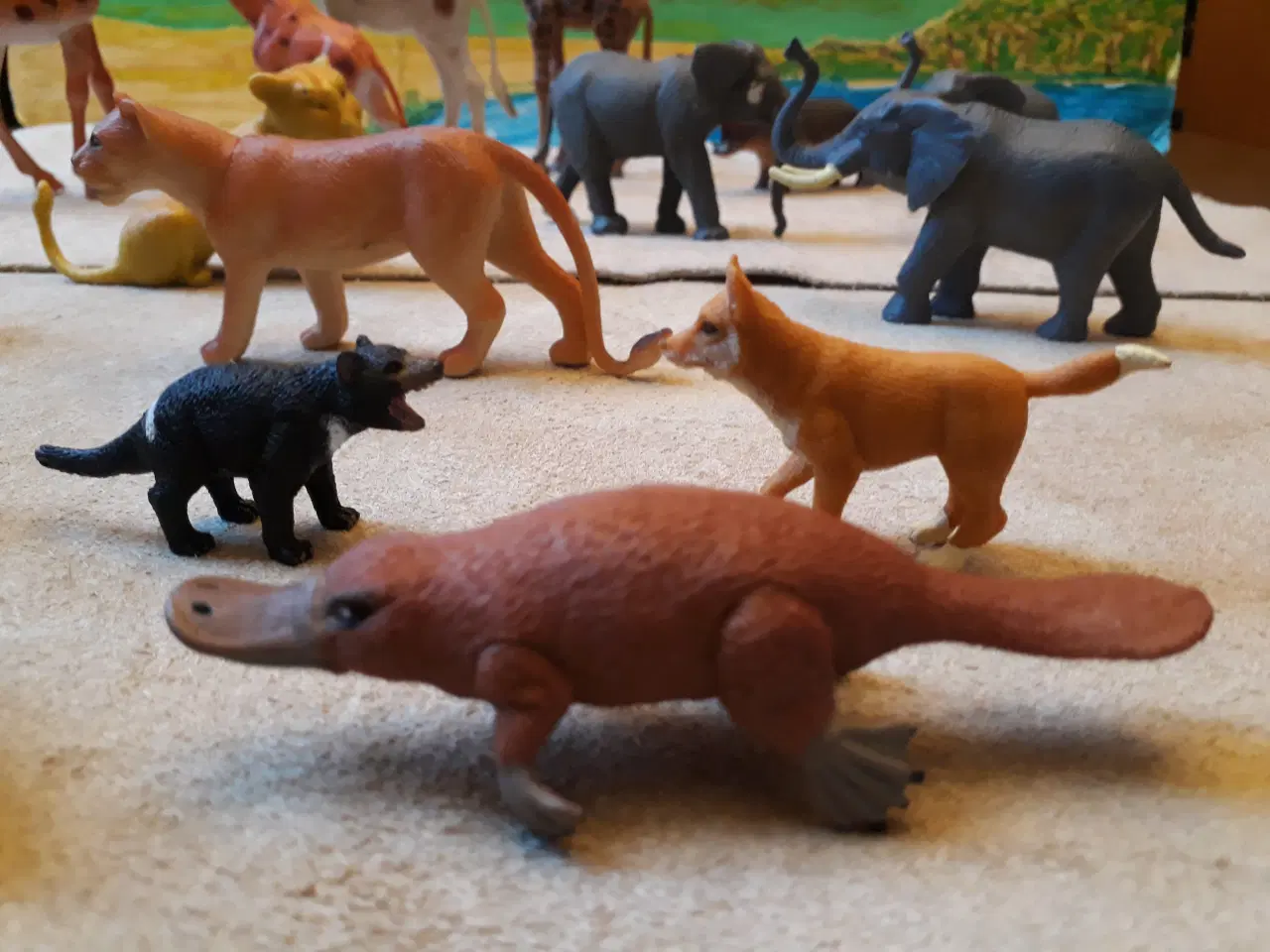 Billede 7 - 17 Zoo Dyr