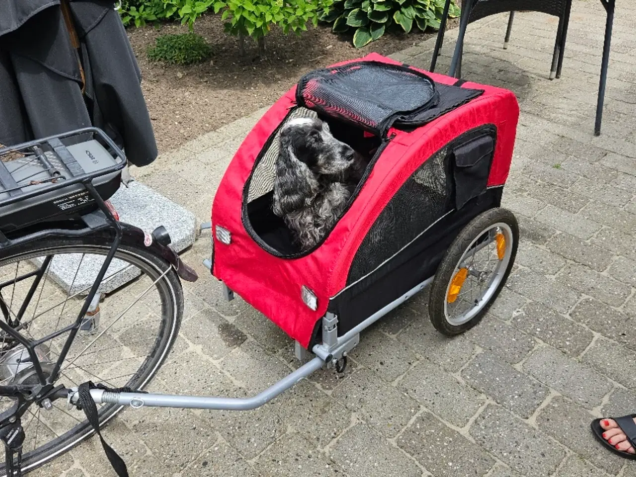 Billede 1 - Anhænger til Cykel
