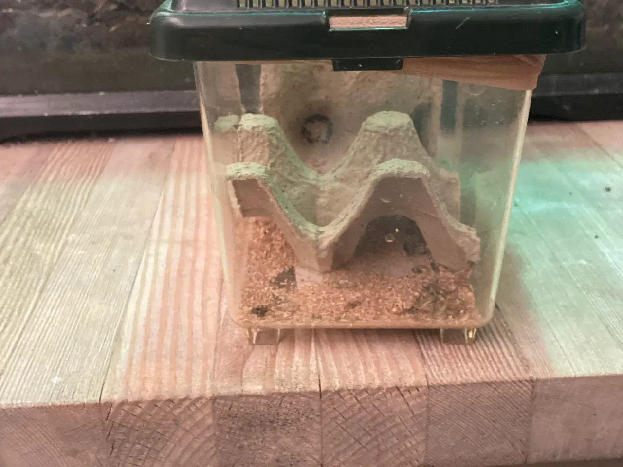 Billede 9 - Grøn Anolepar med udstyr