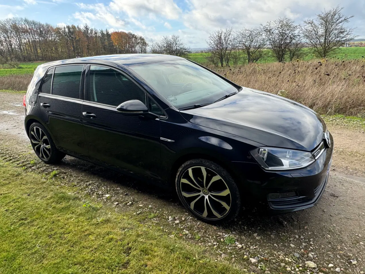 Billede 10 - Golf 7 1,6 tdi 110 hk