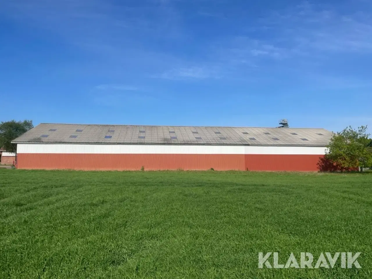 Billede 2 - Stålhal 820 kvadratmeter