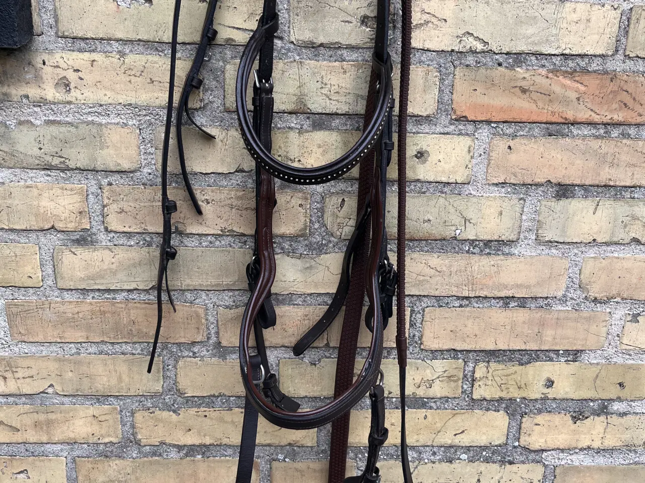 Billede 2 - Horseware Micklem trense, Full, Brun