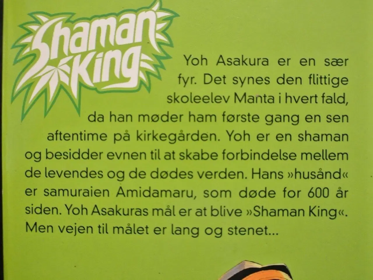 Billede 2 - shaman king 1 - en shaman i tokyo, Af hiroyuki tak