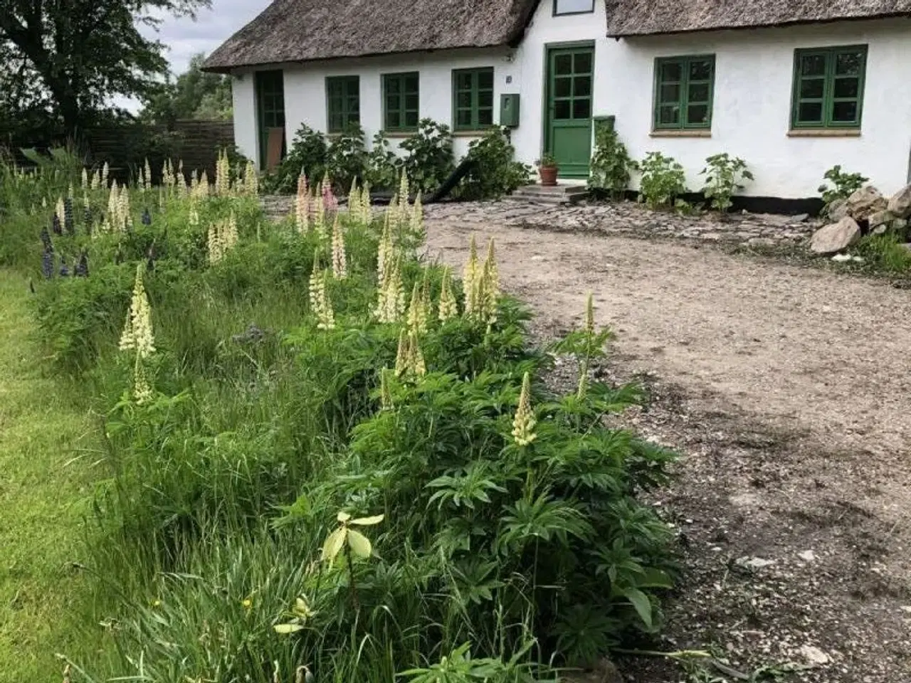 Billede 3 - 4 km fra Egeskov slot-sommerhus