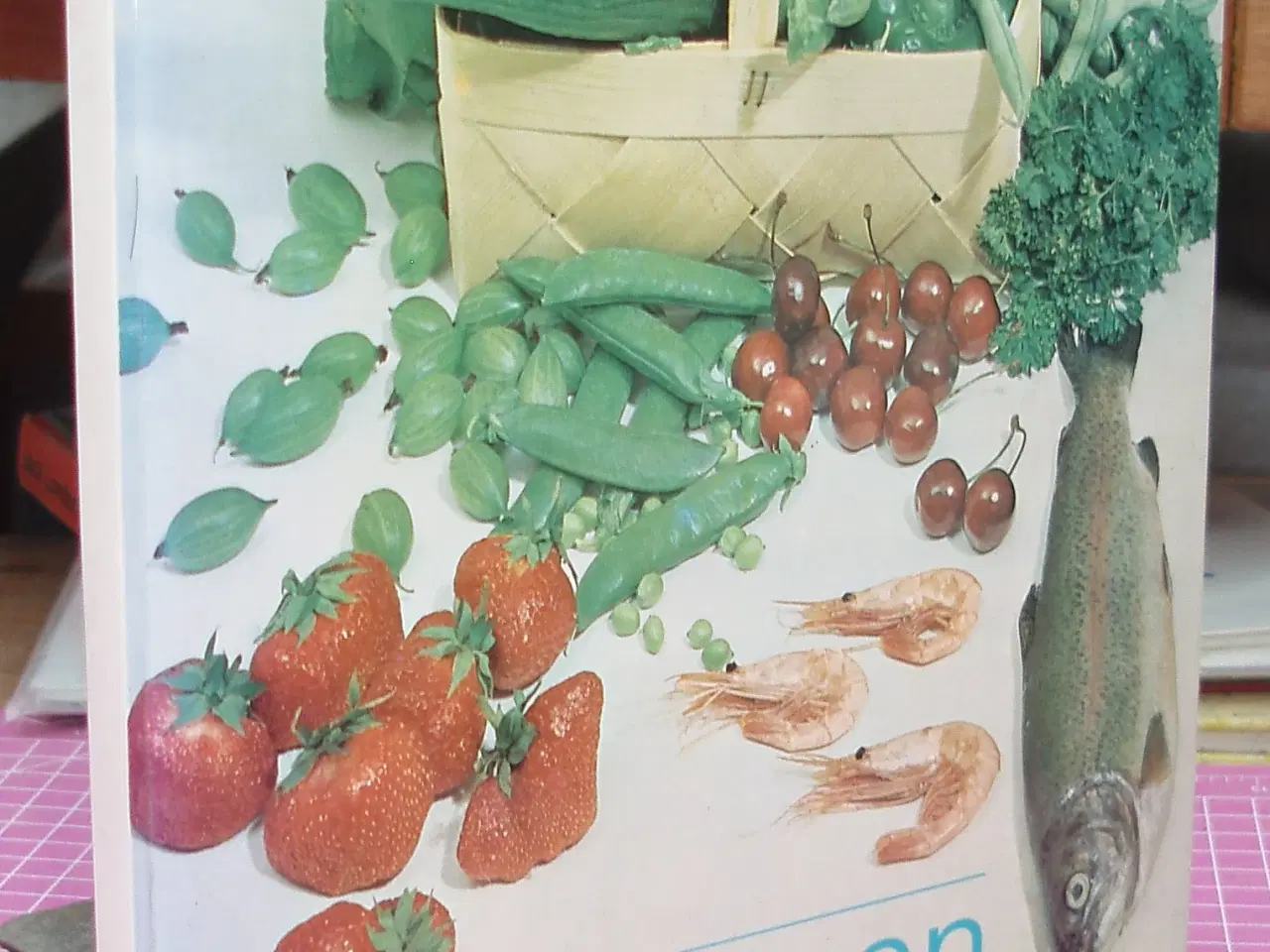 Billede 1 - Frysebogen af Hanne Flensborg Thomsen og Bodil J