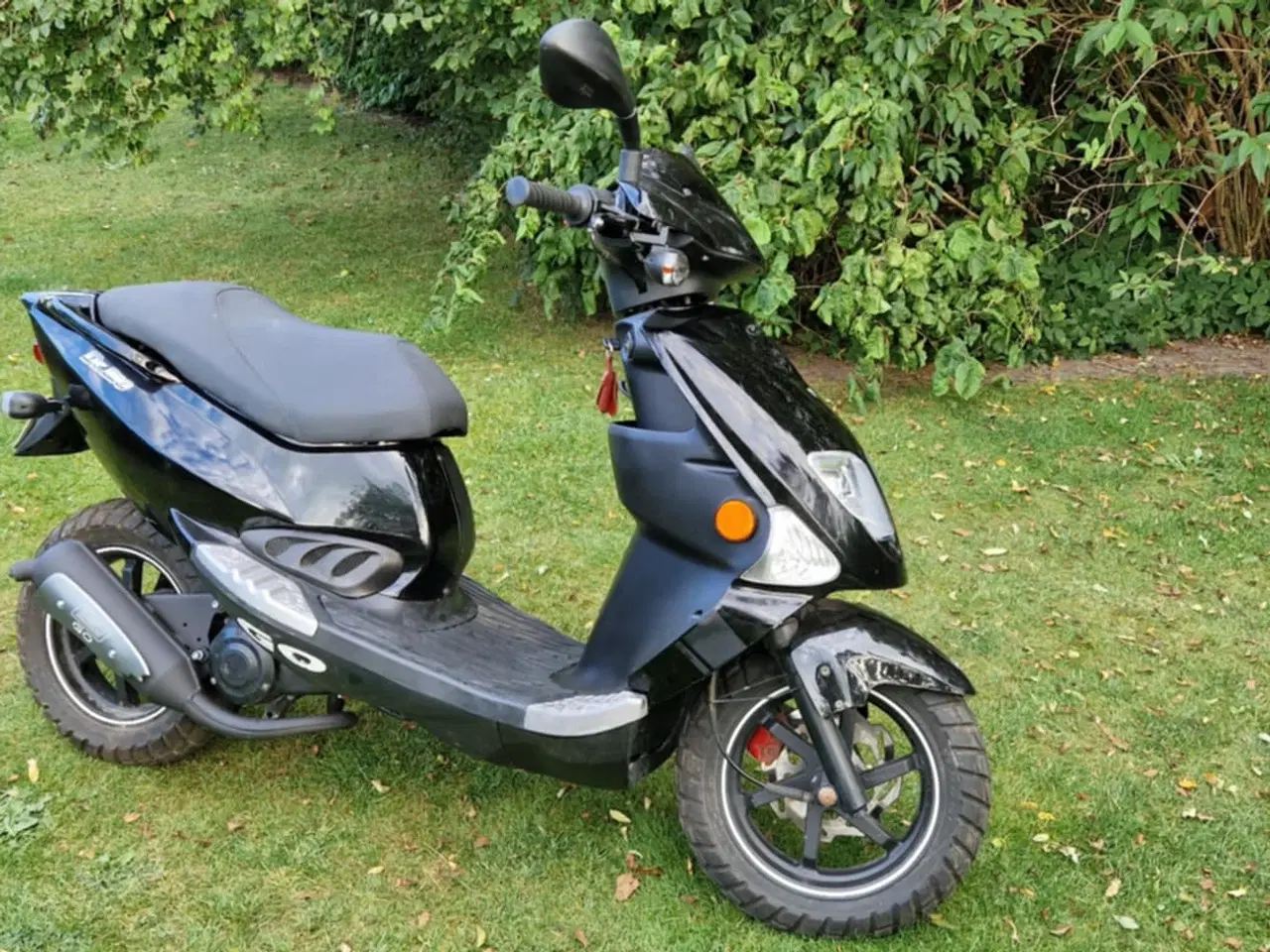 Billede 1 - Pgo Dr.big