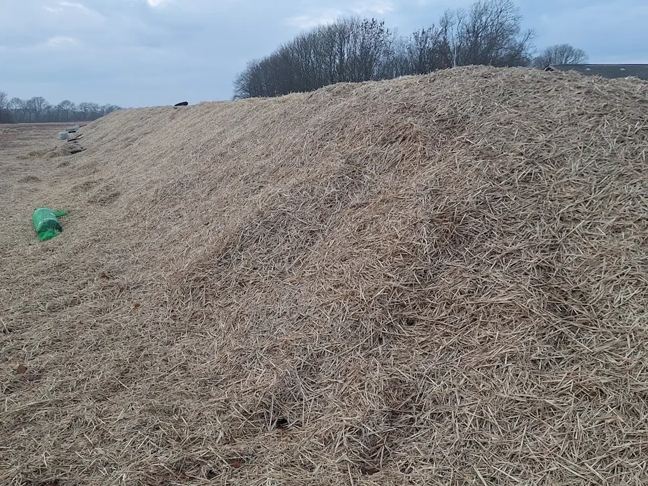 Billede 4 - Roer/Foderroer