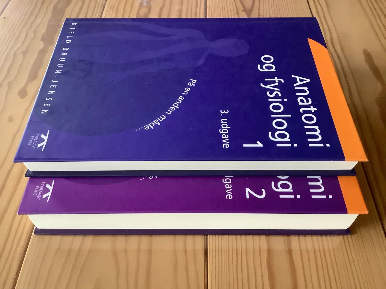 Billede 3 - Anatomi og fysiologi