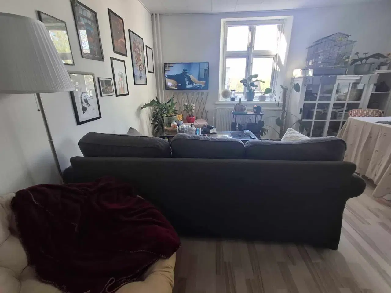 Billede 4 - Meget fin sofa