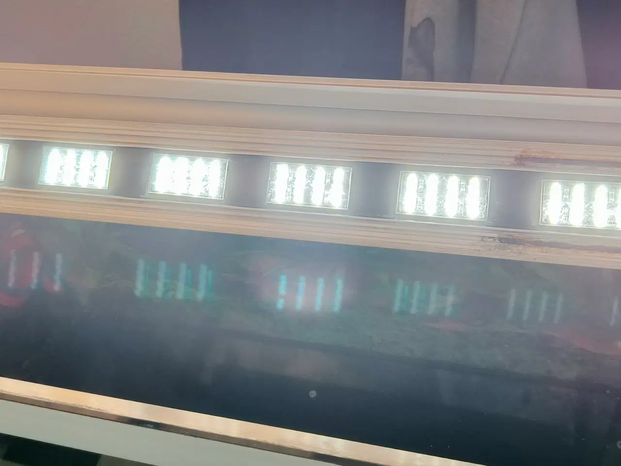 Billede 6 - 120 liters akvarie med udstyr 