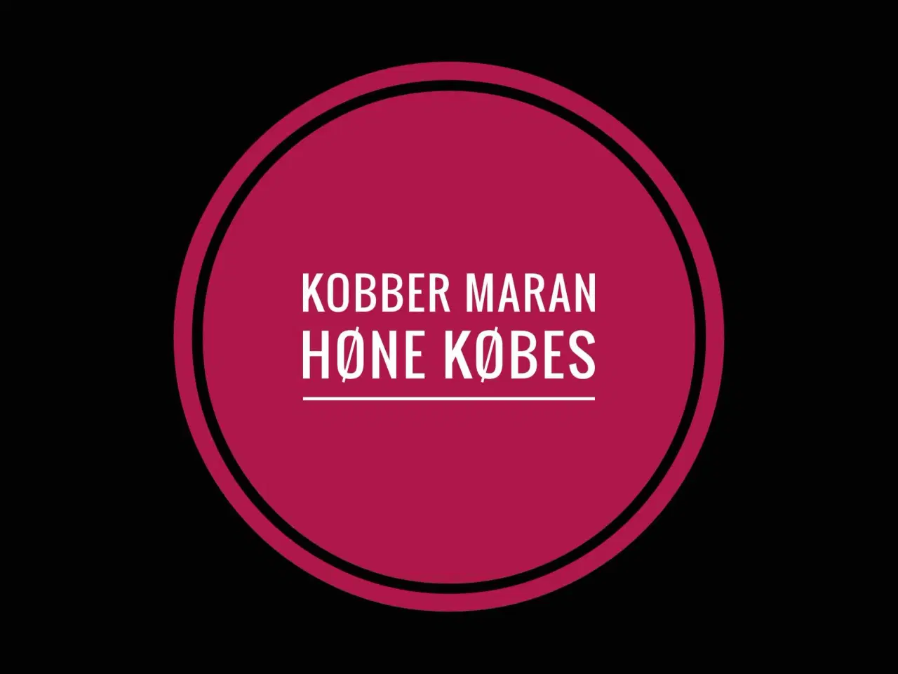 Billede 1 - Kobber maran HØNE købes