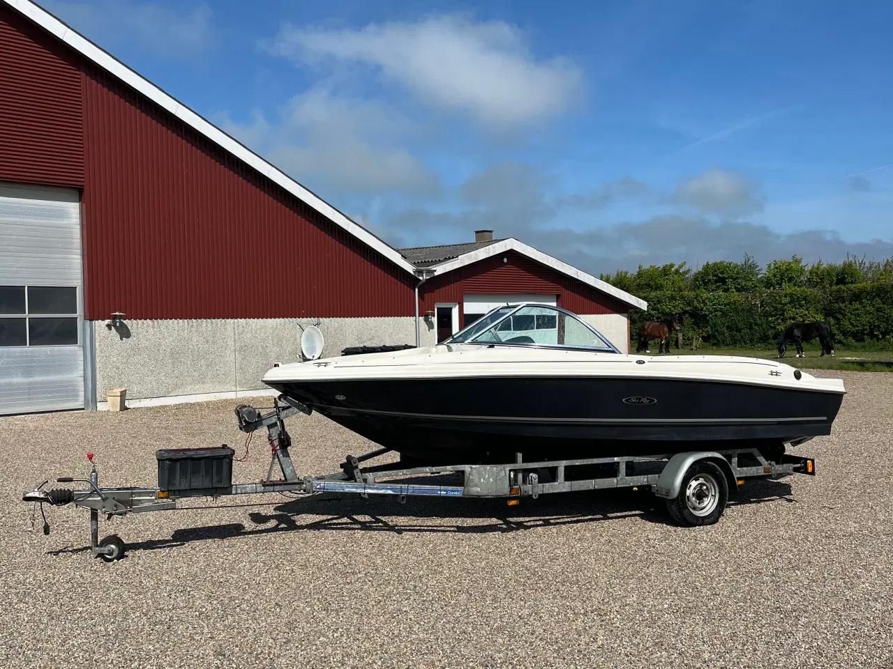 Billede 3 - Sea Ray 175 sport 