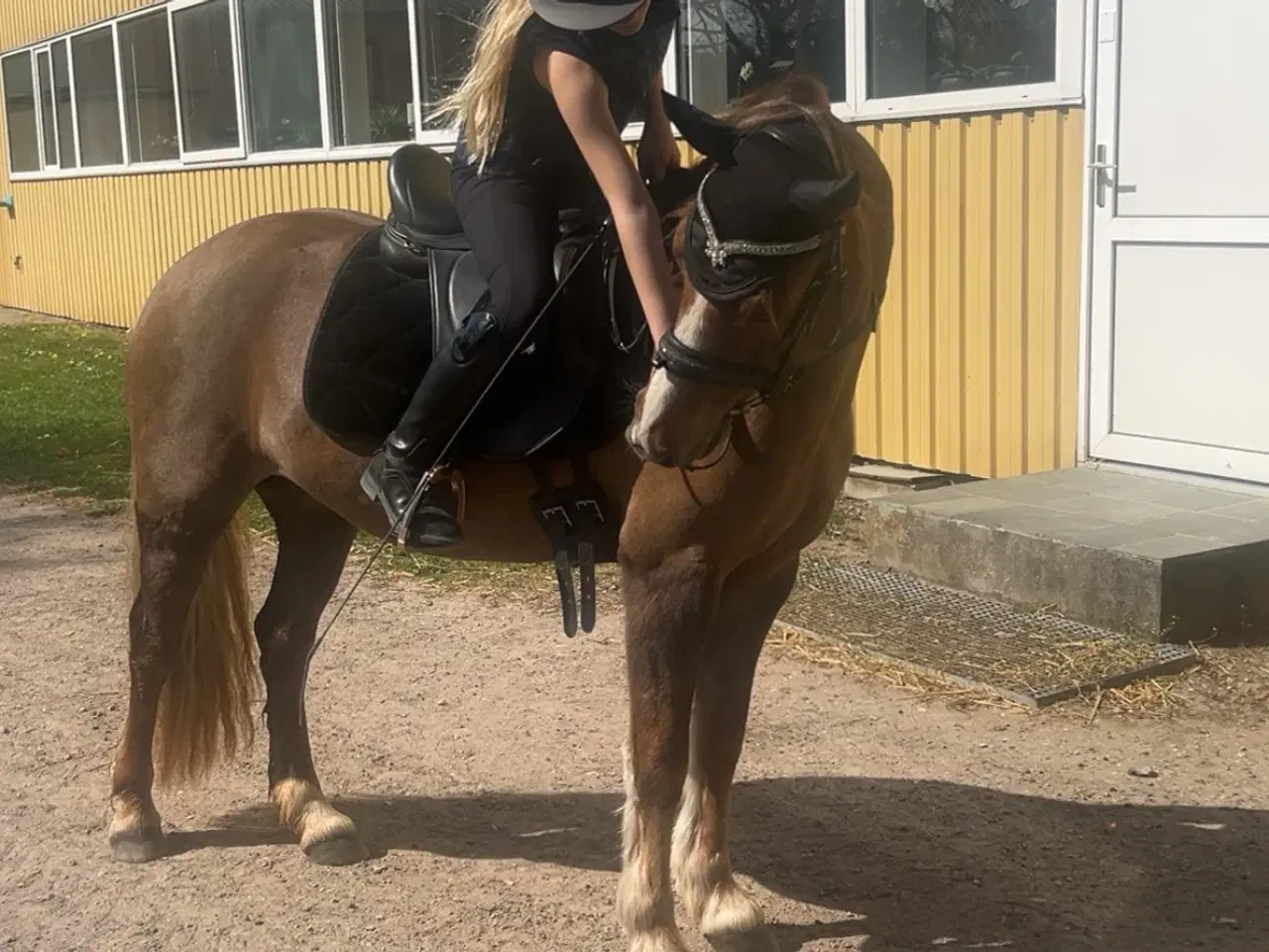 Billede 3 - Skønneste børne pony