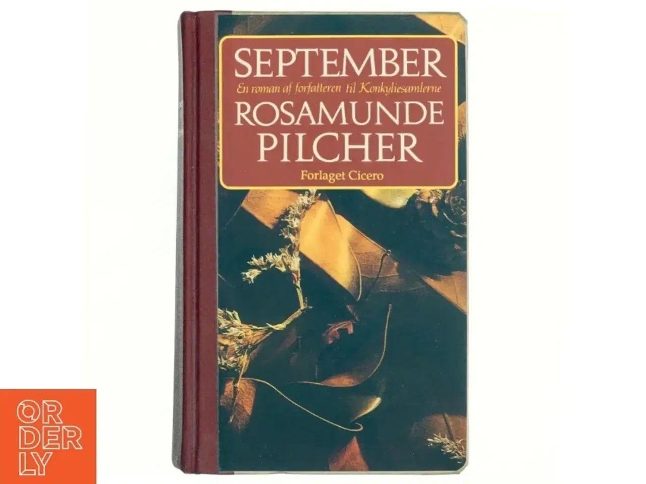 Billede 1 - September af Rosamunde Pilcher (Bog)