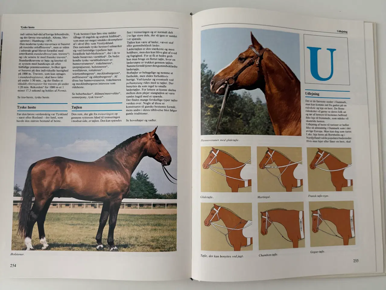 Billede 7 - Lademanns Hesteleksikon - Ridehåndbog