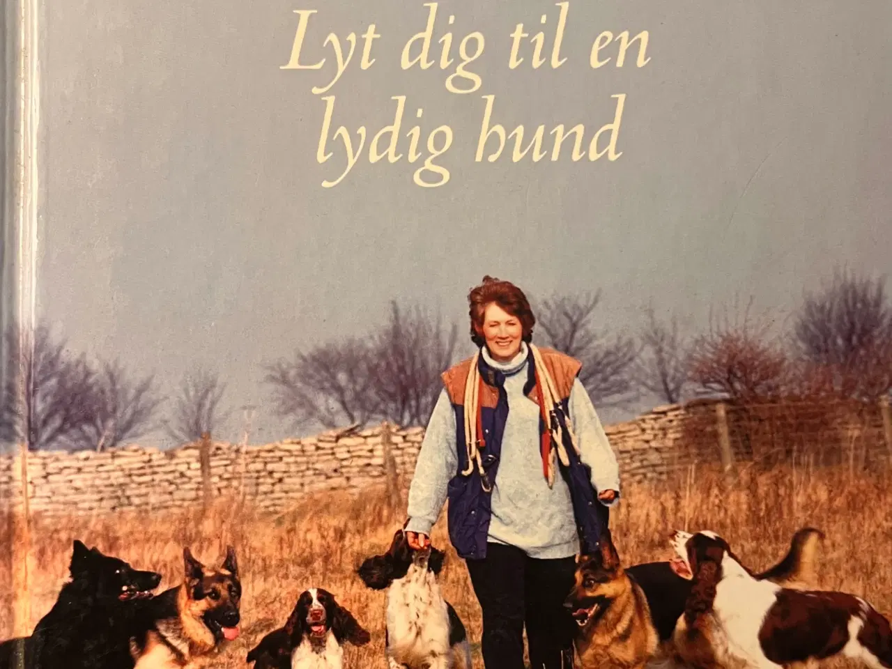 Billede 1 - Hundetræning, adfærd og viden om hunde