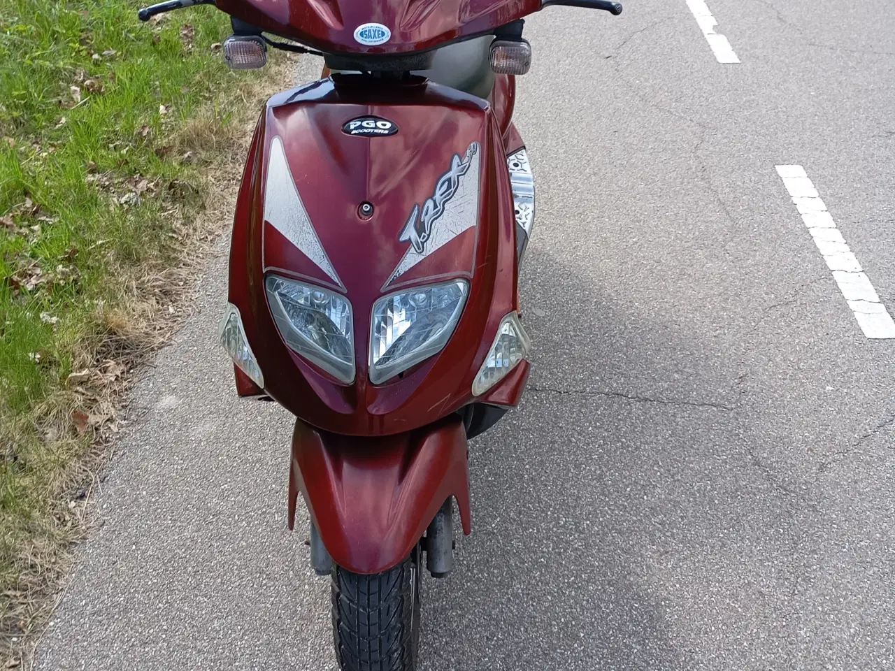 Billede 1 - Pgo t rex 