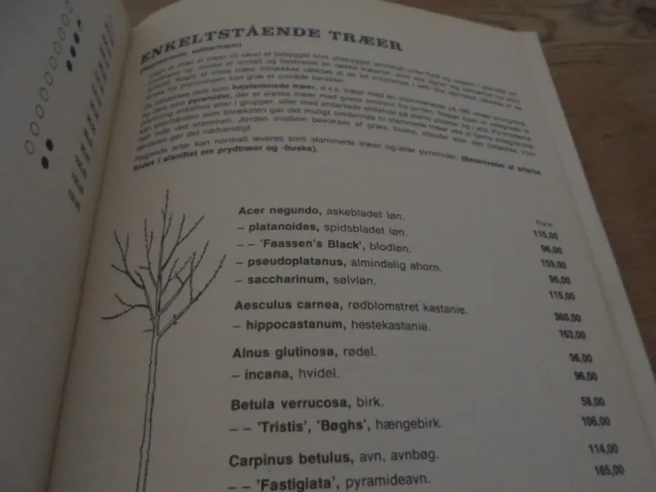 Billede 2 - Plantekatalog fra Planteskolernes Propagandacentra