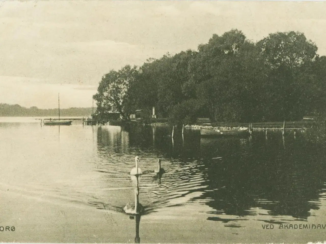 Billede 1 - Sorø, akademihaven 1908