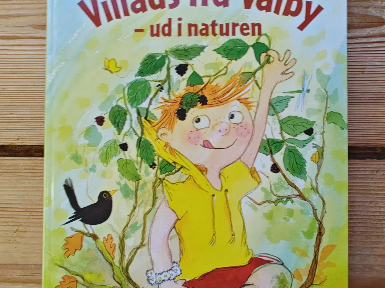 Billede 1 - Villads fra Valby - ud i naturen BOG