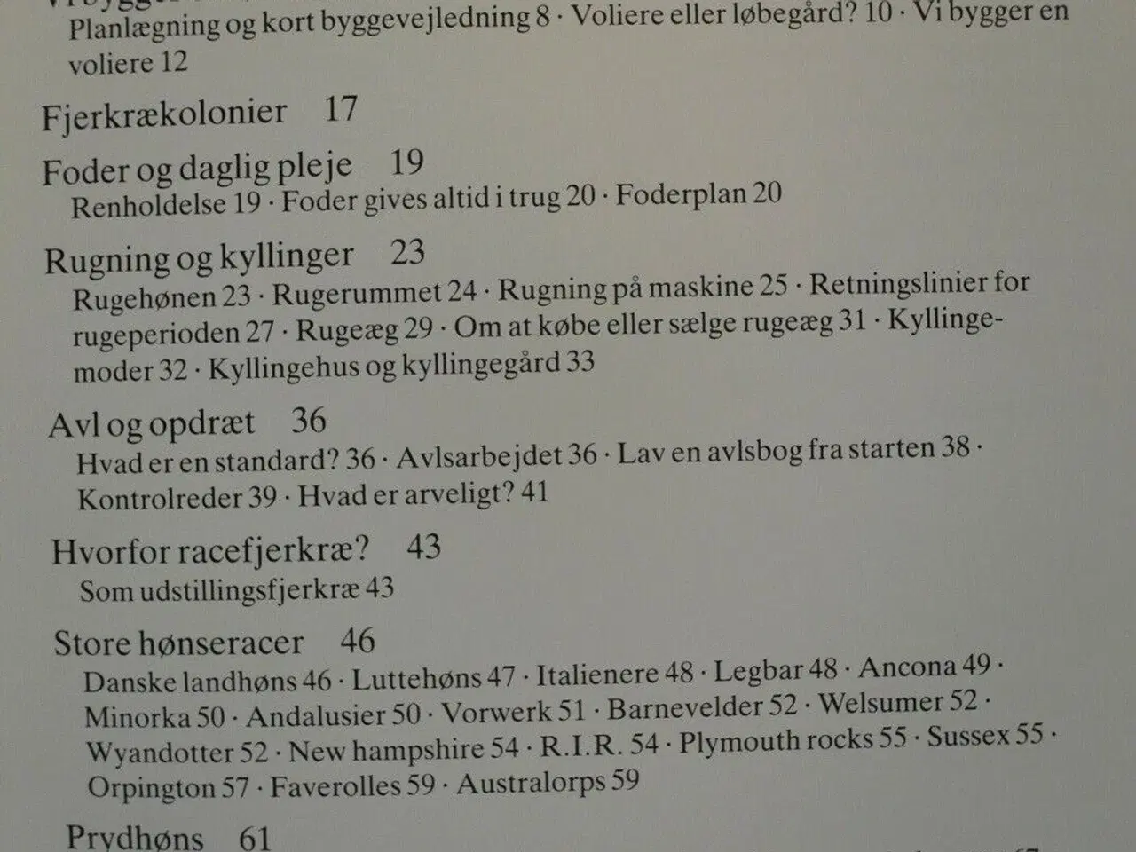 Billede 2 - høns i haven, Af hilbert jensen, emne: dyr
