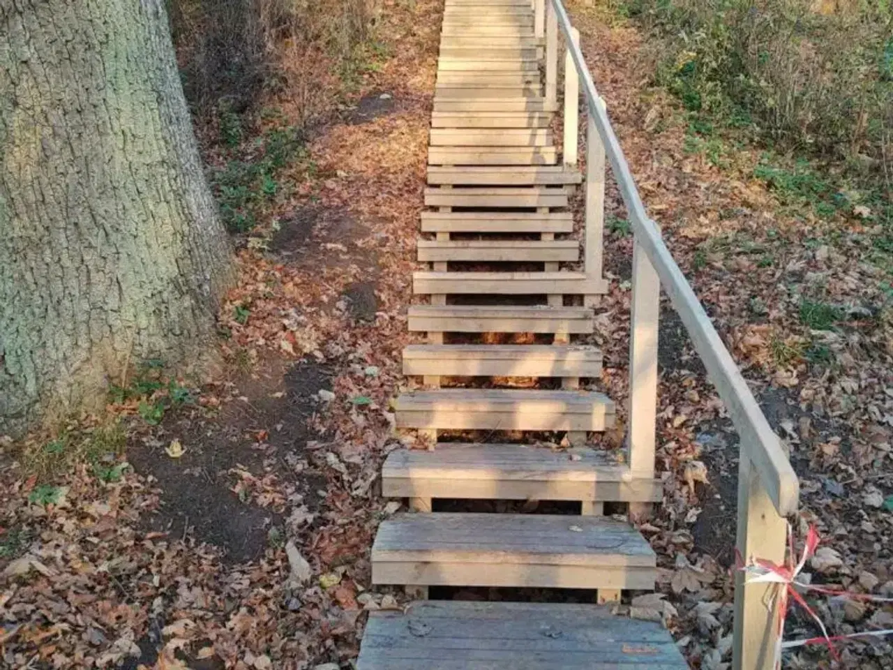 Billede 2 - Trappe, egetræ - hele DK