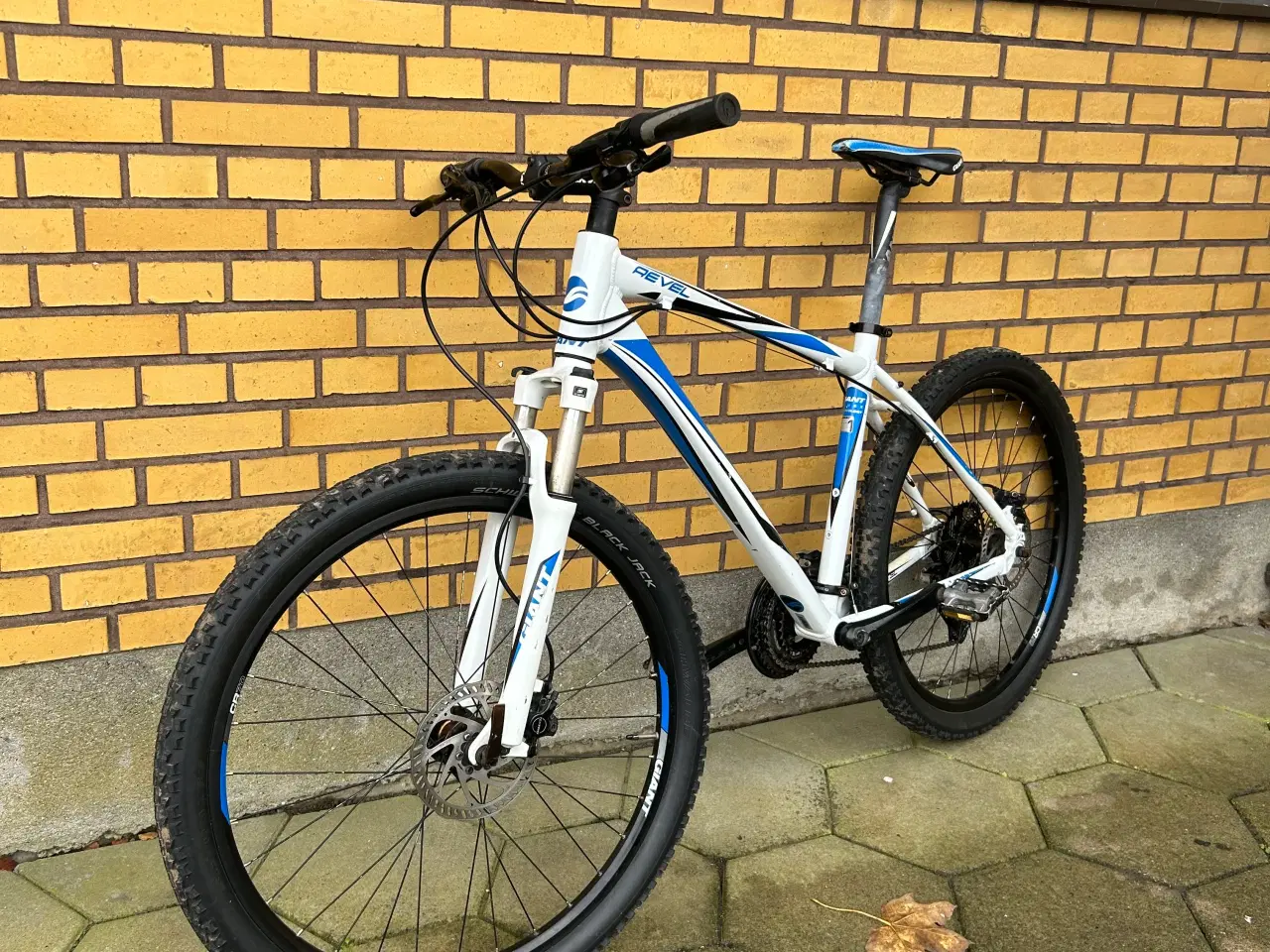 Billede 8 - Giant mountainbike