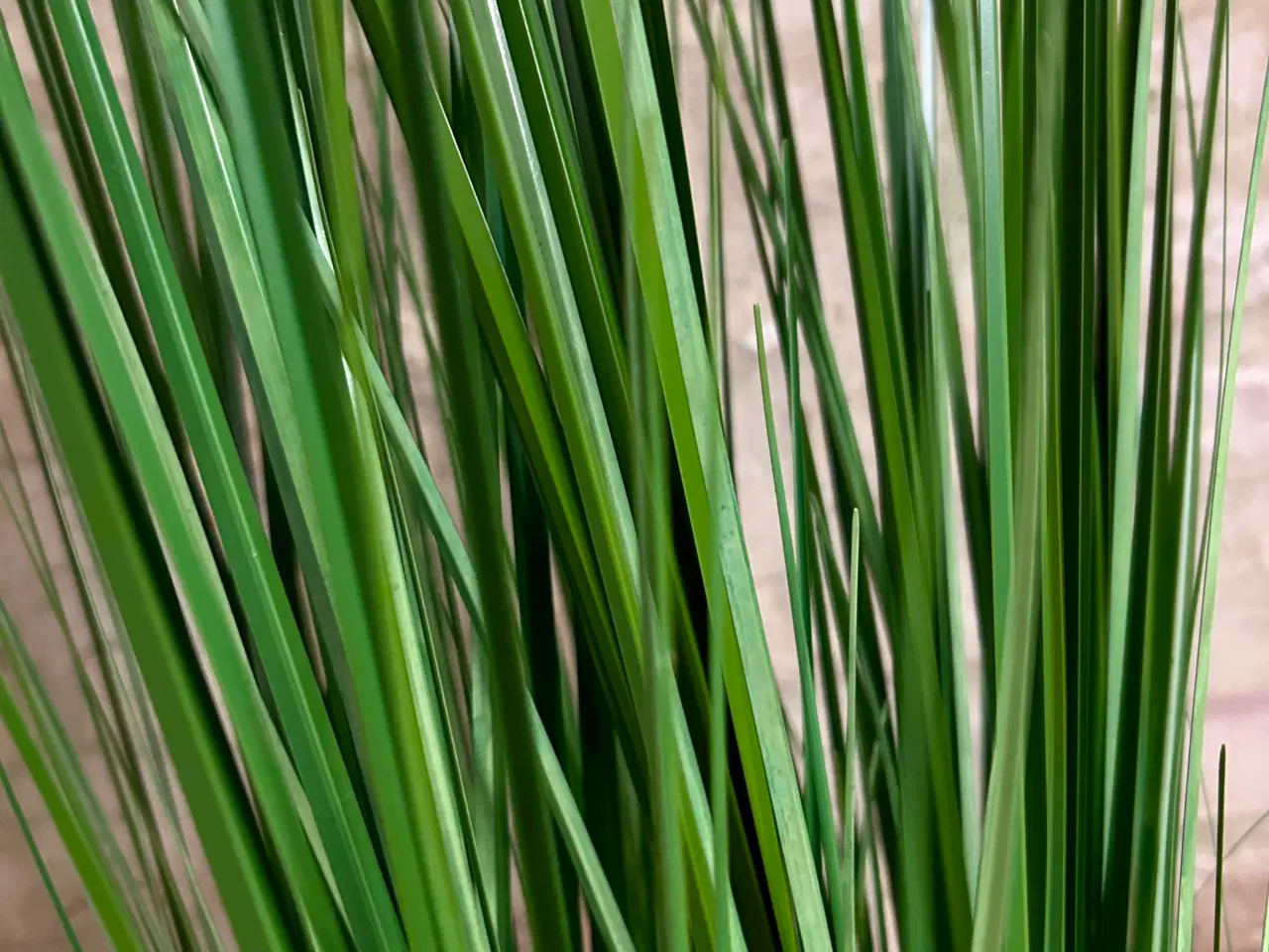 Billede 3 - Faux Grow 150cm plante