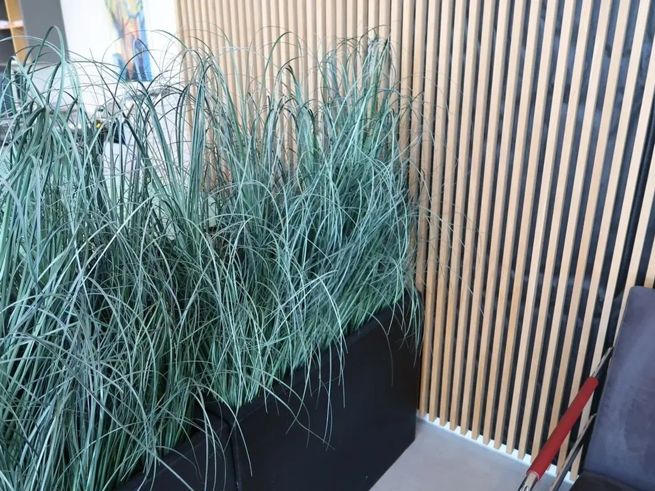 Billede 3 - 2 stk. plantekummer med planter