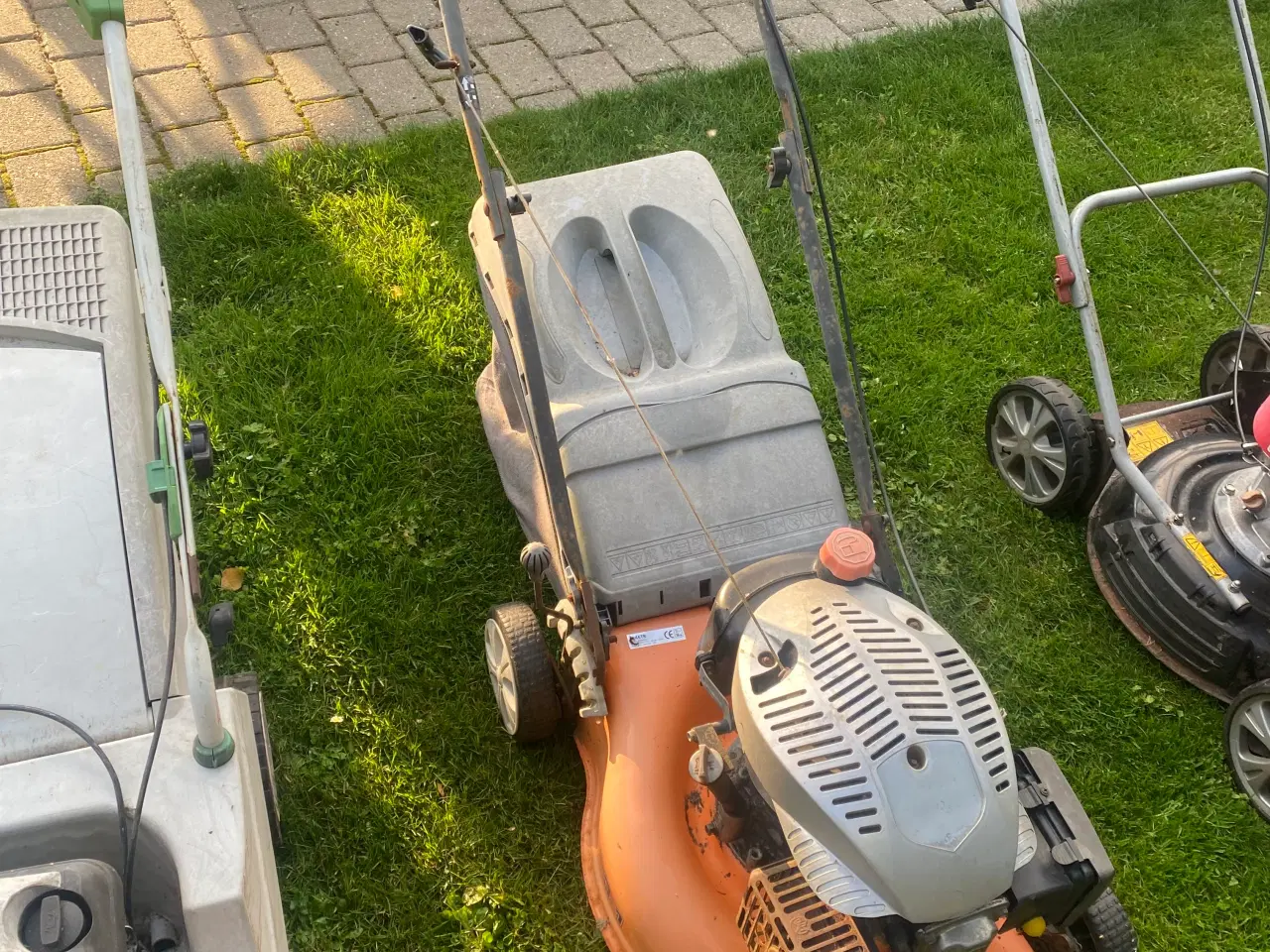 Billede 4 - Rotor plæneklipper 