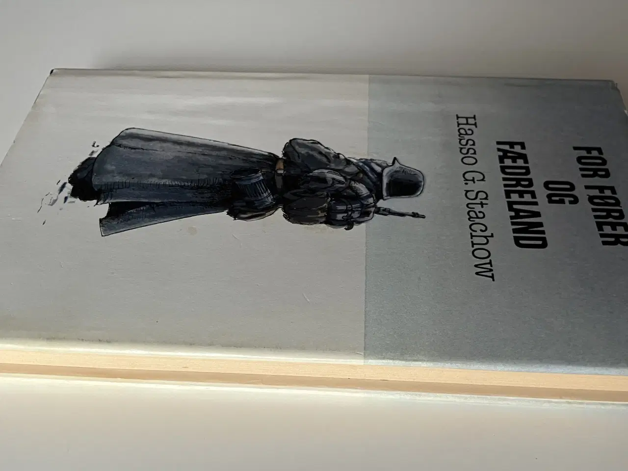 Billede 8 - For Fører og fædreland. Af Hasso G. Stachow