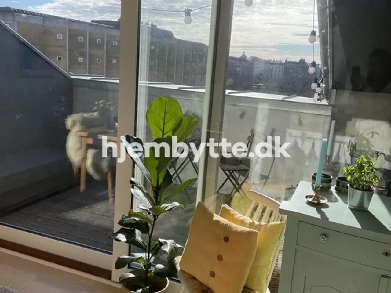 Billede 4 - Hjembytte - Ryesgade