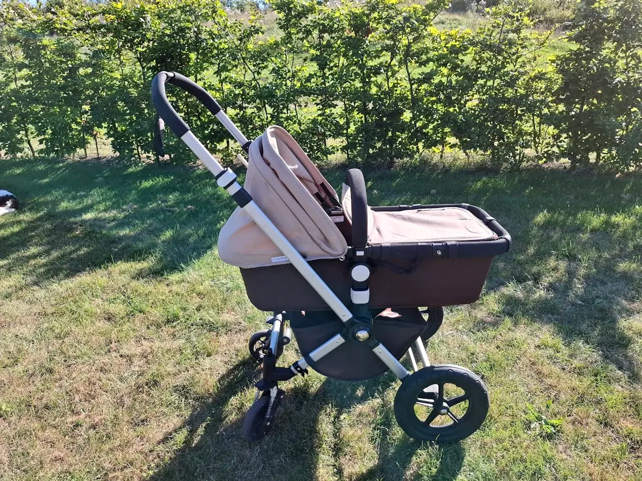 Billede 3 - Kombivogn Bugaboo Cameleon