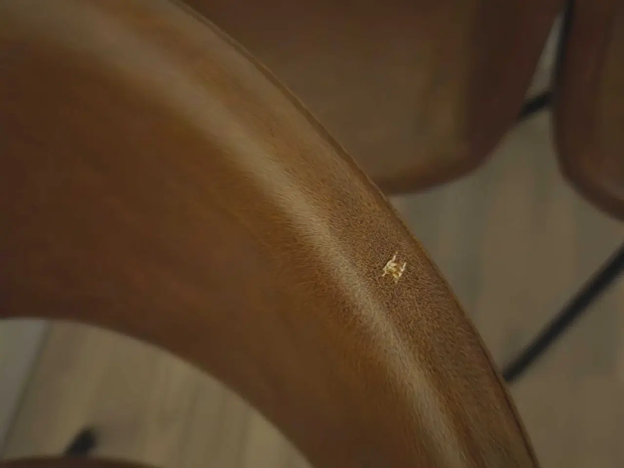 Billede 4 - Flotte spisebordsstole