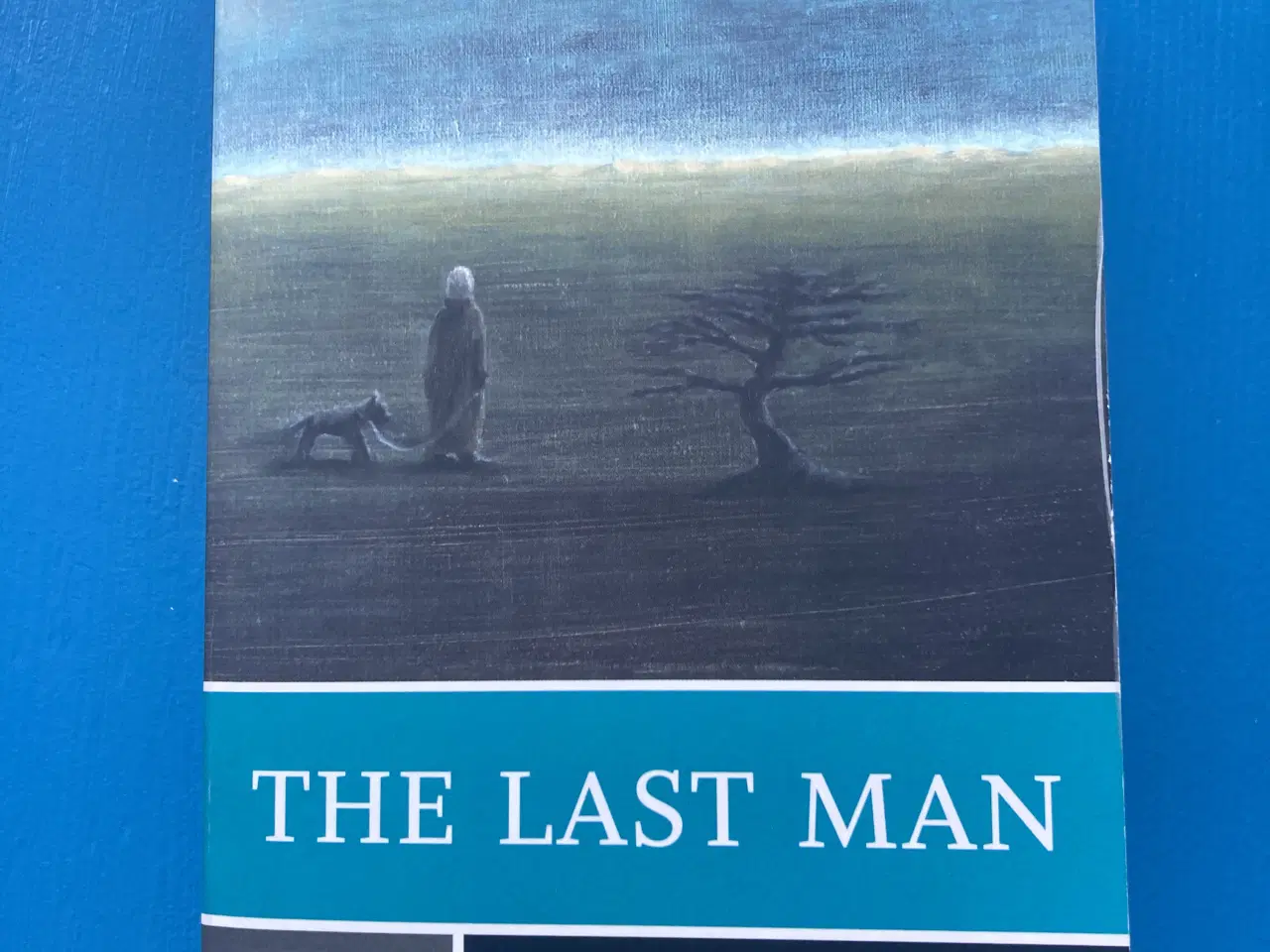 Billede 6 - Diverse studiebøger til engelsk sælges