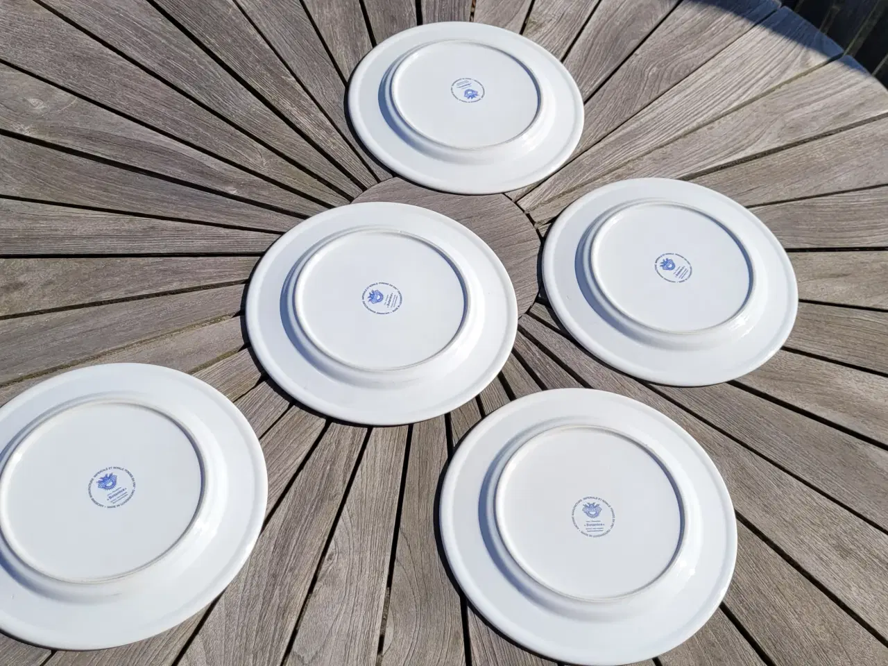 Billede 8 - Villeroy&Boch Botanica middagstallerkener