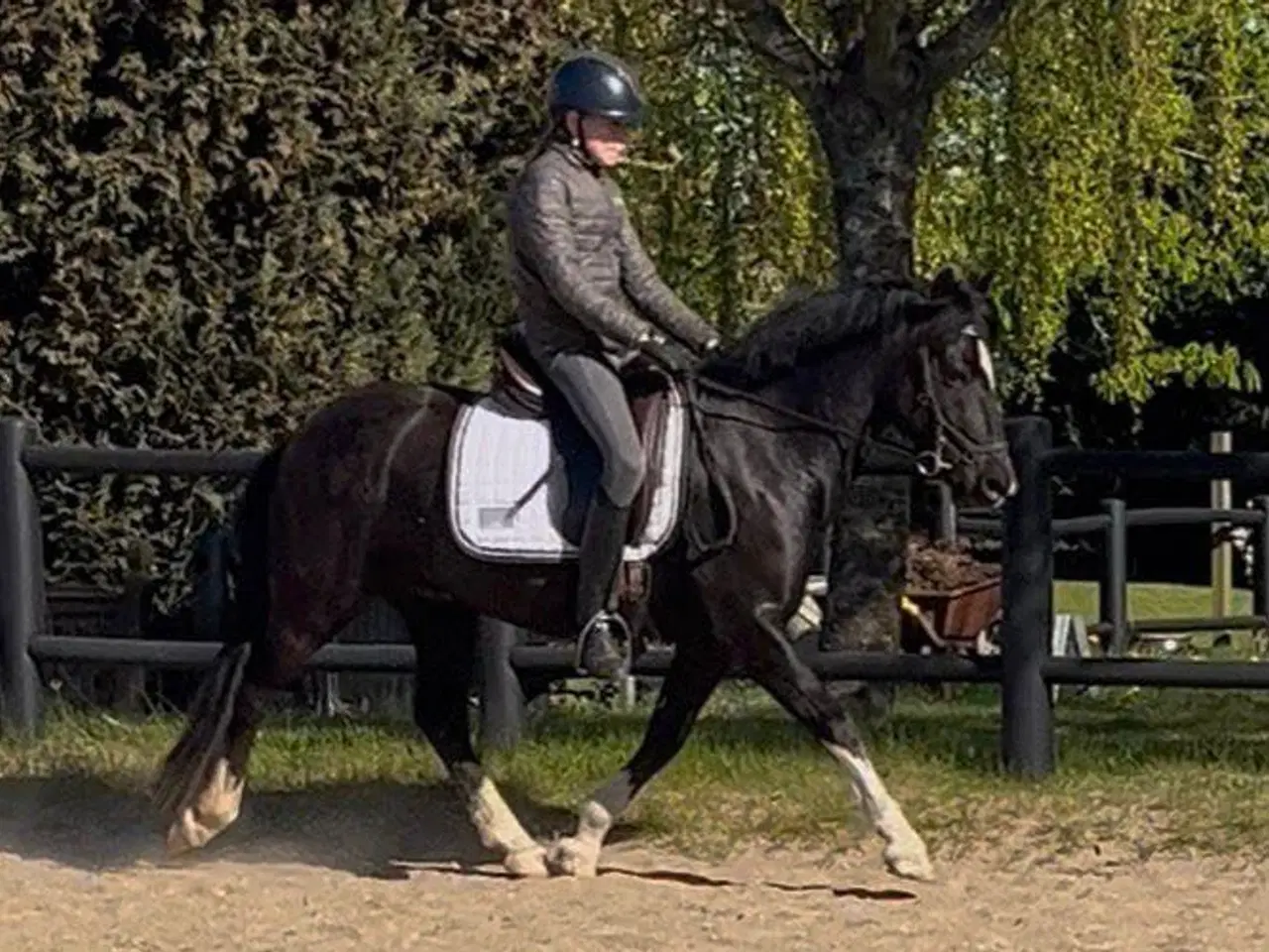 Billede 8 - Alle elsker Edward,  store som små❤️
