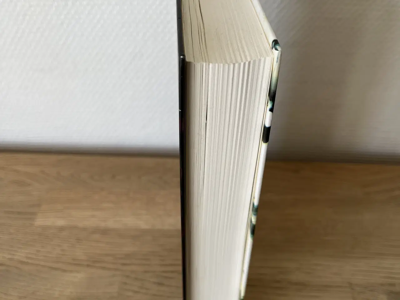 Billede 4 - Bog: Camilla Läckberg - Tyskerungen