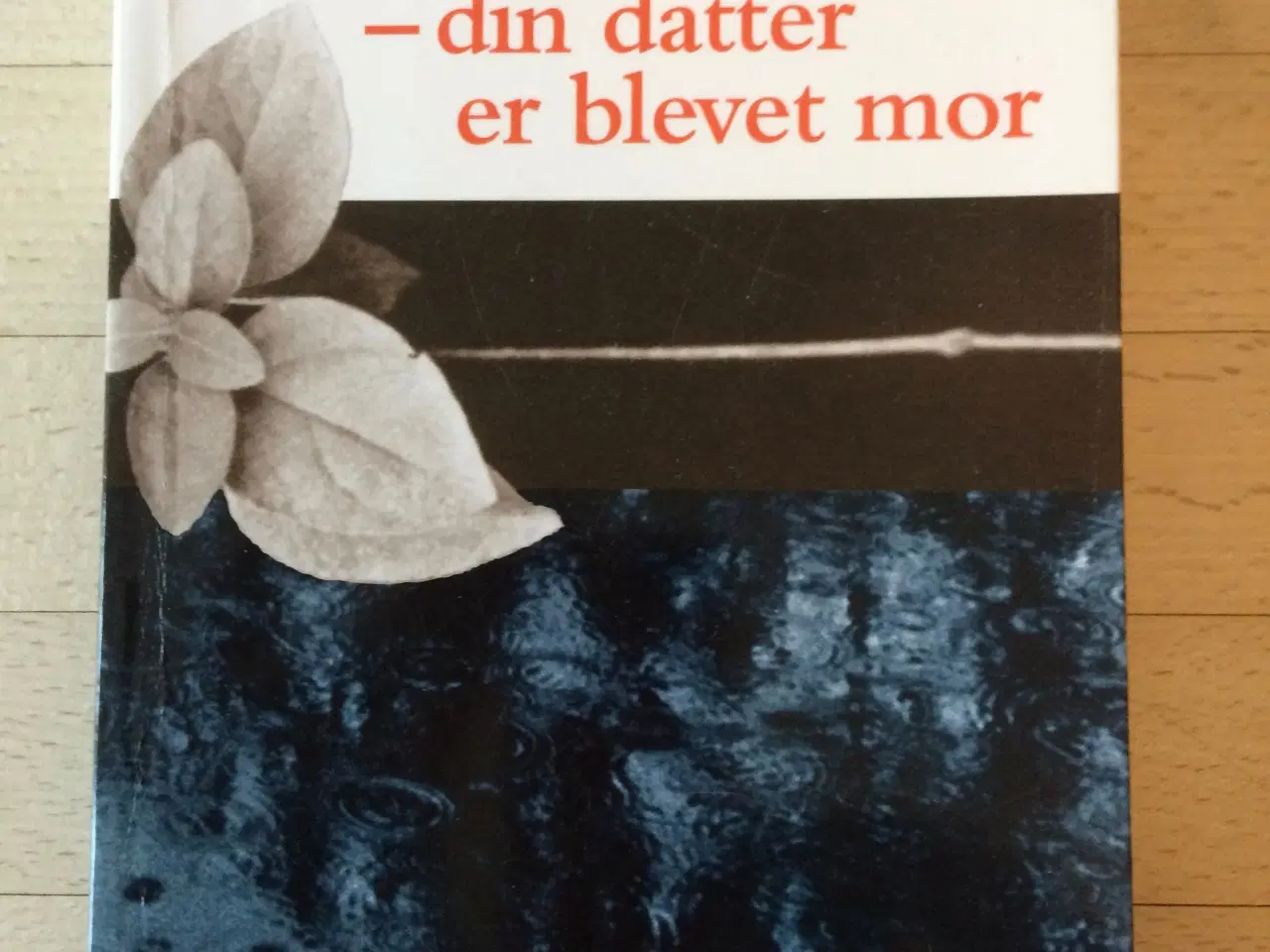 Billede 1 - Mormor - din datter er blevet mor